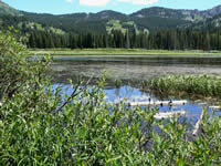 Silver Lake.